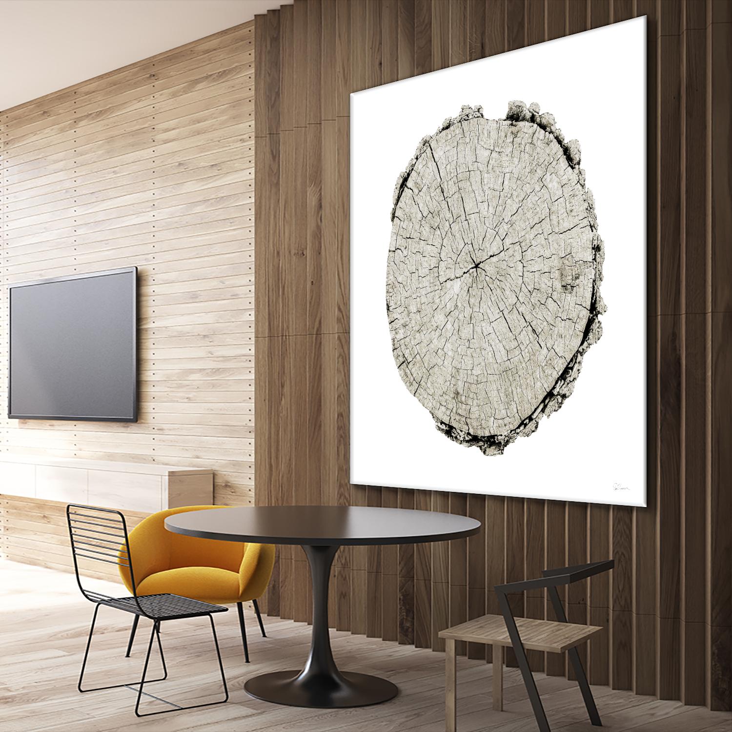 Woodland Years II on White by Sue Schlabach on GIANT ART - grey trees