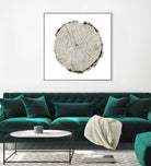Woodland Years II on White by Sue Schlabach on GIANT ART - grey trees