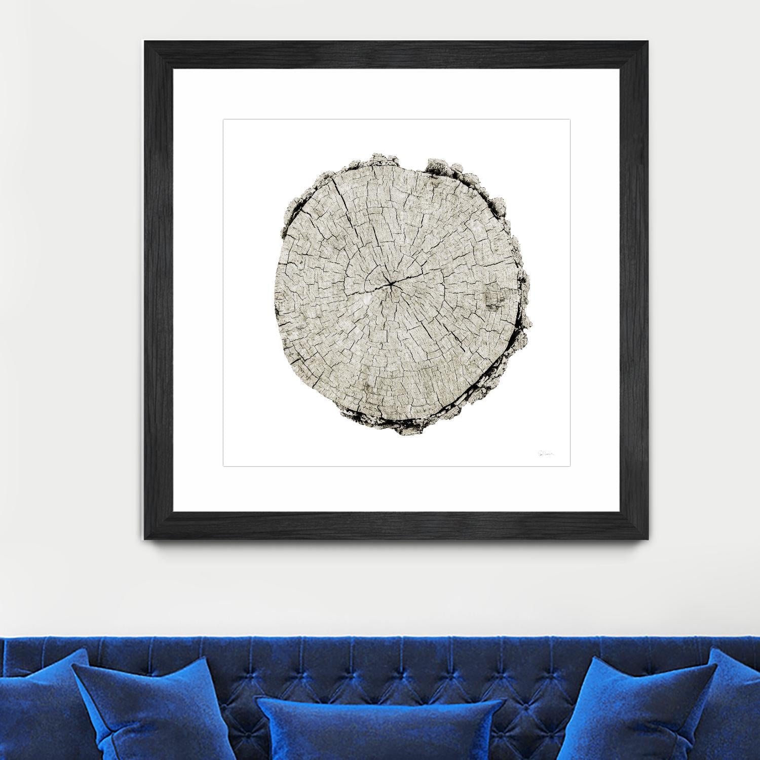Woodland Years II on White by Sue Schlabach on GIANT ART - grey trees