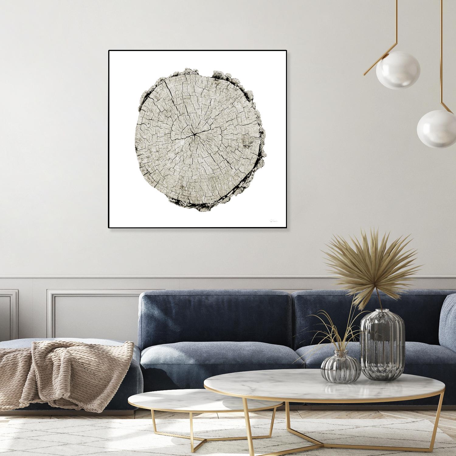 Woodland Years II on White by Sue Schlabach on GIANT ART - grey trees