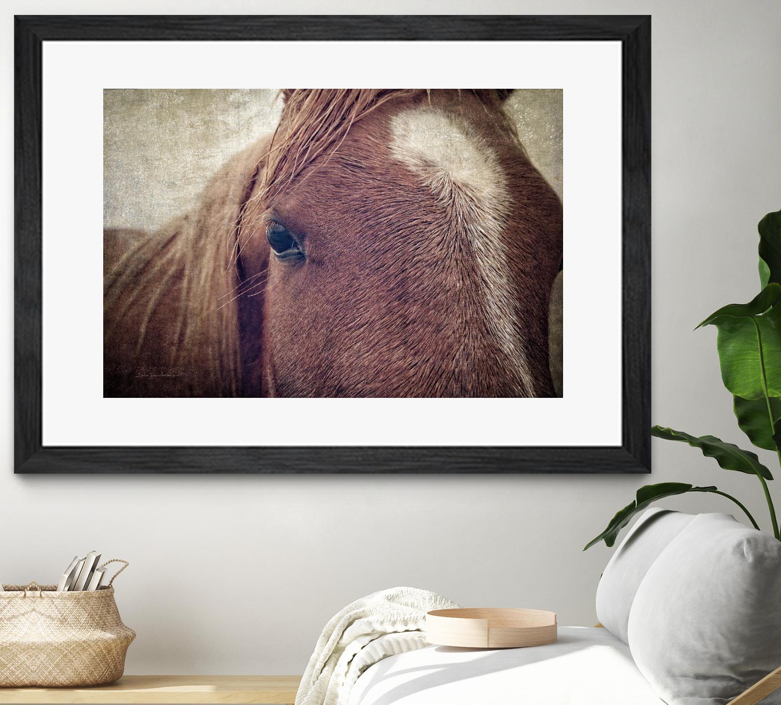 Dew Lashes by Debra Van Swearingen on GIANT ART - animals animals