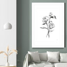 Line Ranunculus I by Chris Paschke on GIANT ART - florals black