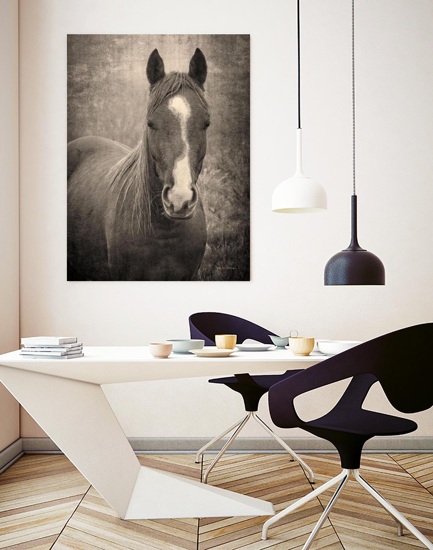 Heres Looking at You II by Debra Van on GIANT ART - animals animals