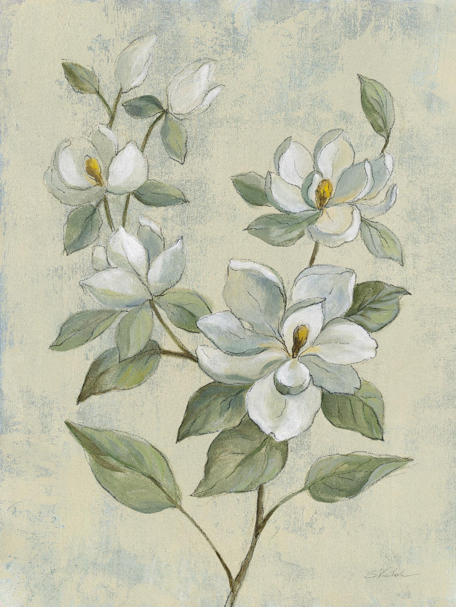 Sage Magnolia by Silvia Vassileva on GIANT ART - florals florals