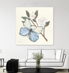 In the Garden Butterfly by Courtney Prahl on GIANT ART - animals black