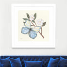 In the Garden Butterfly by Courtney Prahl on GIANT ART - animals black