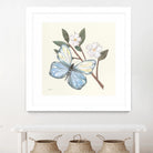In the Garden Butterfly by Courtney Prahl on GIANT ART - animals black