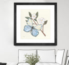 In the Garden Butterfly by Courtney Prahl on GIANT ART - animals black