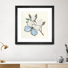 In the Garden Butterfly by Courtney Prahl on GIANT ART - animals black