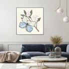 In the Garden Butterfly by Courtney Prahl on GIANT ART - animals black