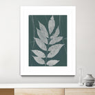 Enchanted Fall Cyanotype IX by Nancy Green on GIANT ART - green botanical photograph
