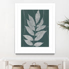 Enchanted Fall Cyanotype IX by Nancy Green on GIANT ART - green botanical photograph