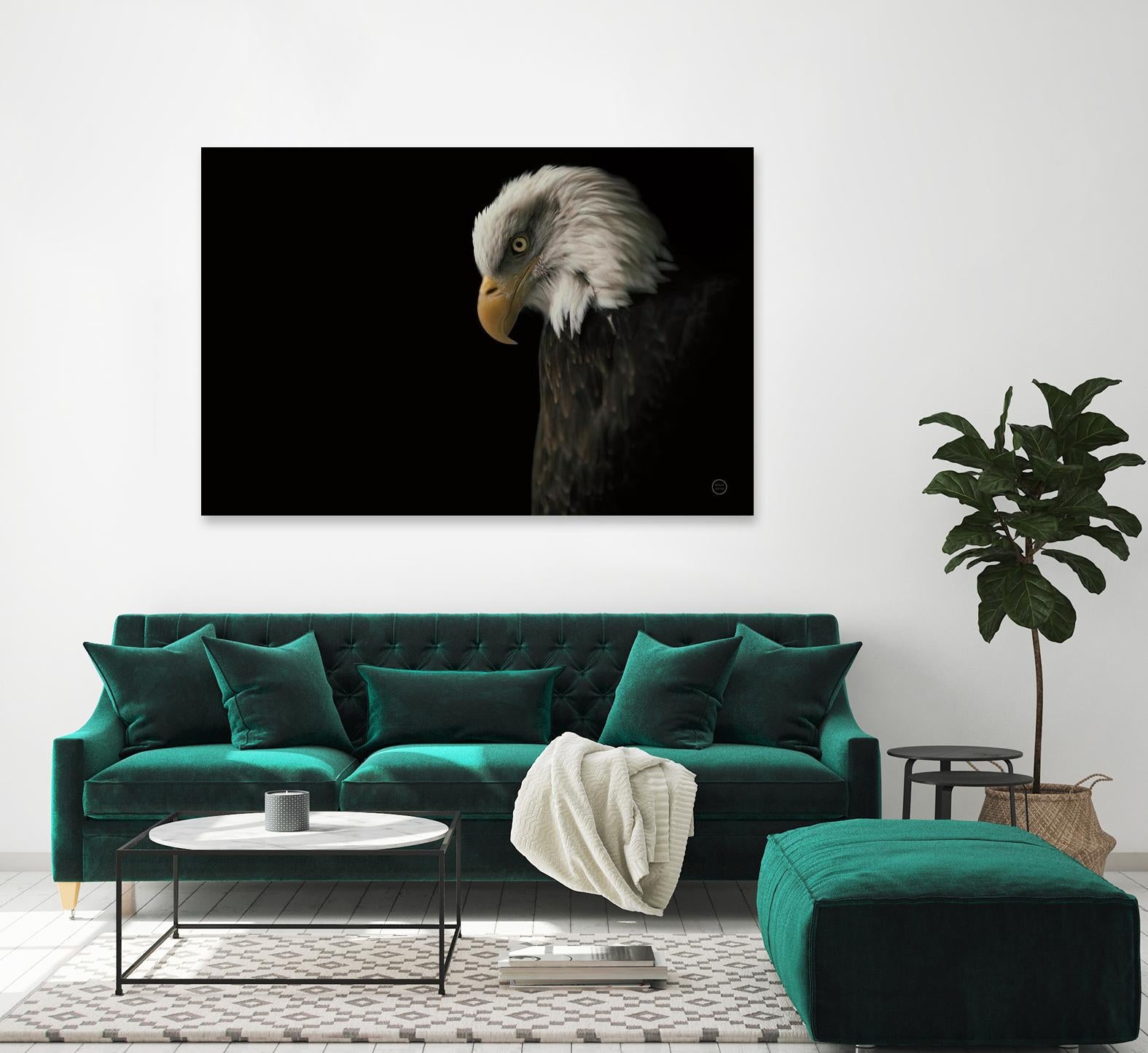Eagle Bow by Nathan Larson on GIANT ART - white animals oiseau