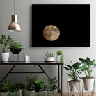 Moon Detail II by Nathan Larson on GIANT ART - astronomy & celestial astronomy