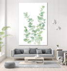 Eucalyptus II by Katrina Pete on GIANT ART - plants & trees eucalyptus