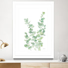 Eucalyptus II by Katrina Pete on GIANT ART - green botanical eucalyptus plants