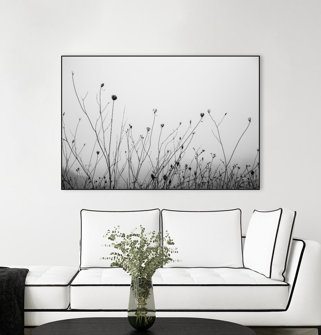 Autumn Grasses by Aledanda on GIANT ART - photography autumn