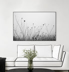 Autumn Grasses by Aledanda on GIANT ART - photography autumn