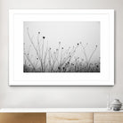 Autumn Grasses by Aledanda on GIANT ART - black & white flowers stems