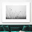 Autumn Grasses by Aledanda on GIANT ART - black & white flowers stems