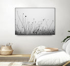 Autumn Grasses by Aledanda on GIANT ART - photography autumn