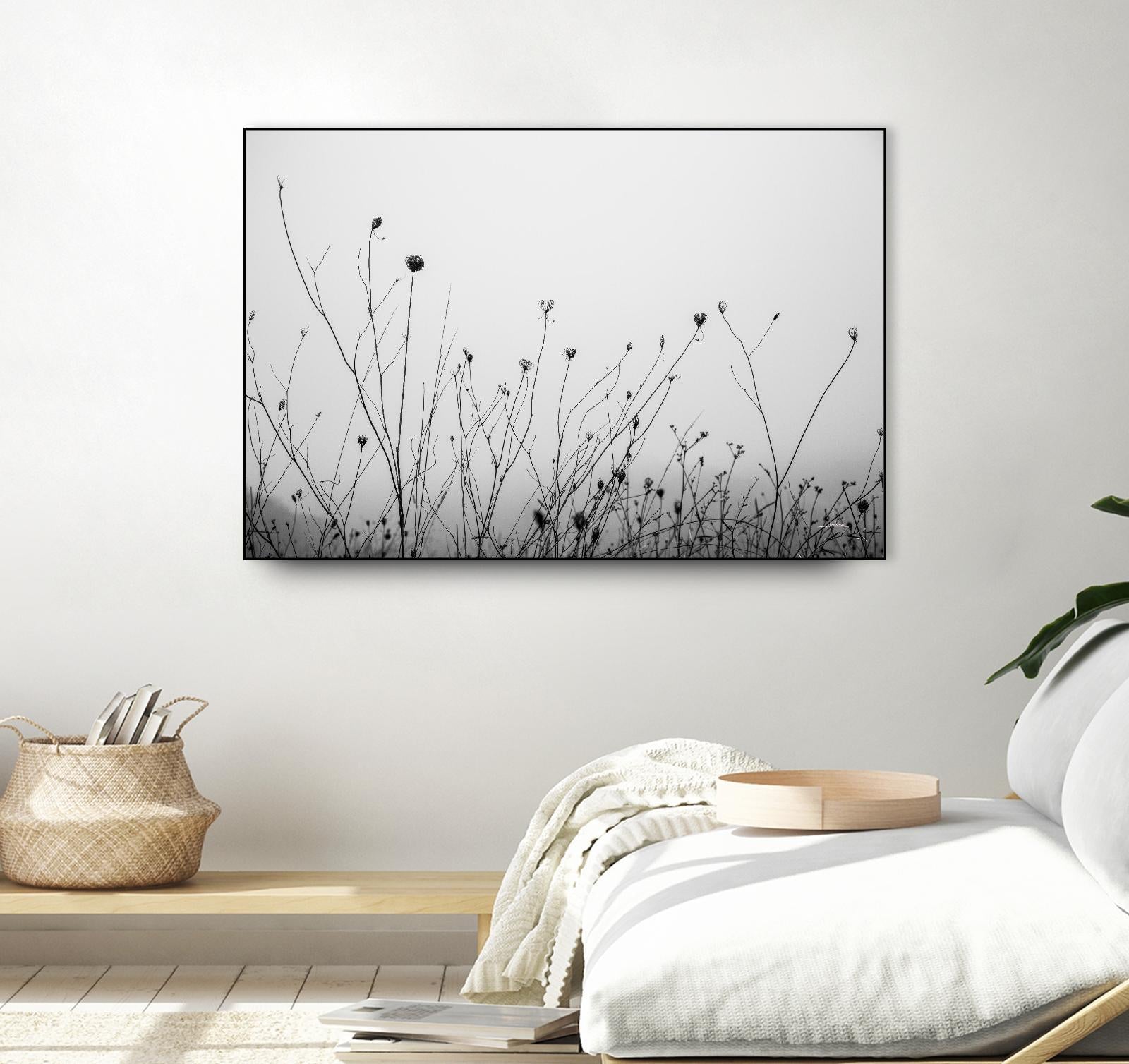 Autumn Grasses by Aledanda on GIANT ART - photography autumn
