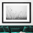 Autumn Grasses by Aledanda on GIANT ART - black & white flowers stems