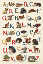 Schoolhouse Alphabet by Wild Apple on GIANT ART - juvenile abcs