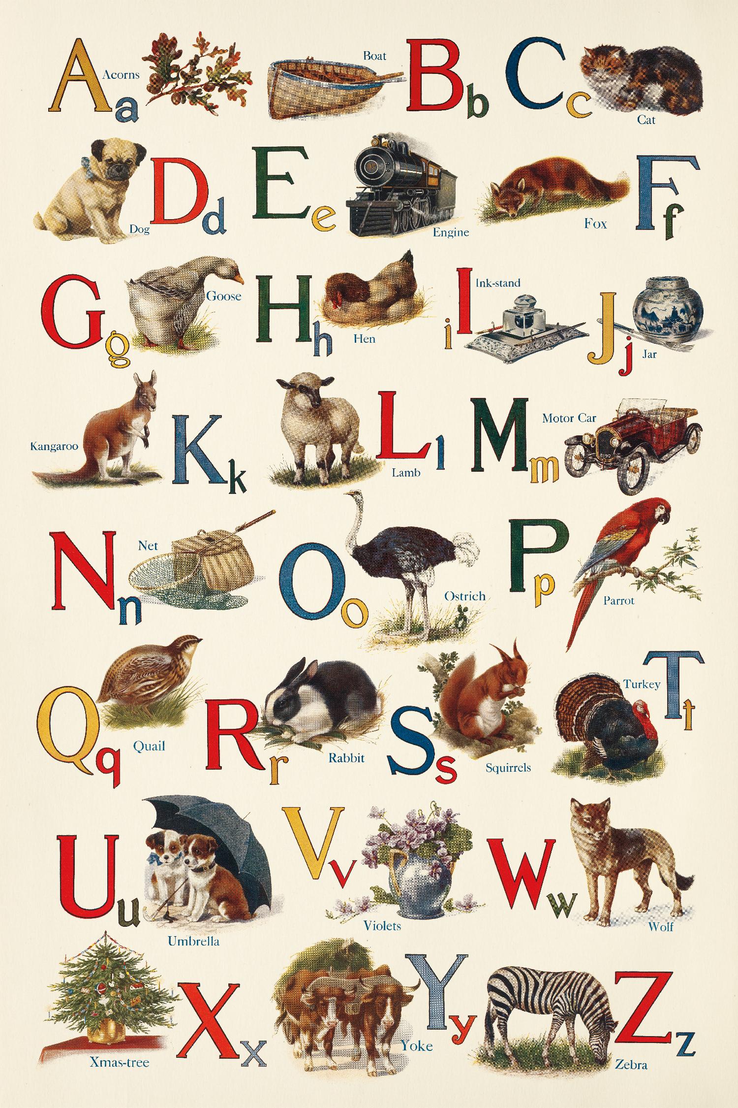 Schoolhouse Alphabet by Wild Apple on GIANT ART - juvenile abcs