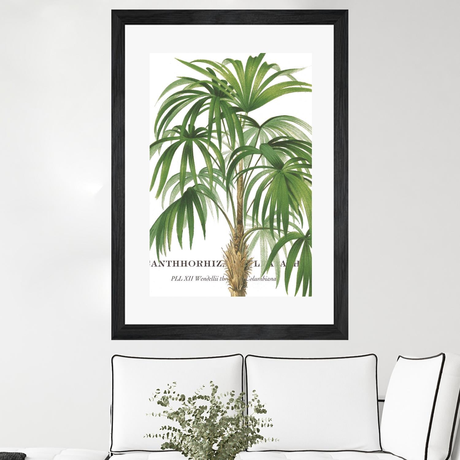 Riviera Palms II by Studio on GIANT ART - green tropical