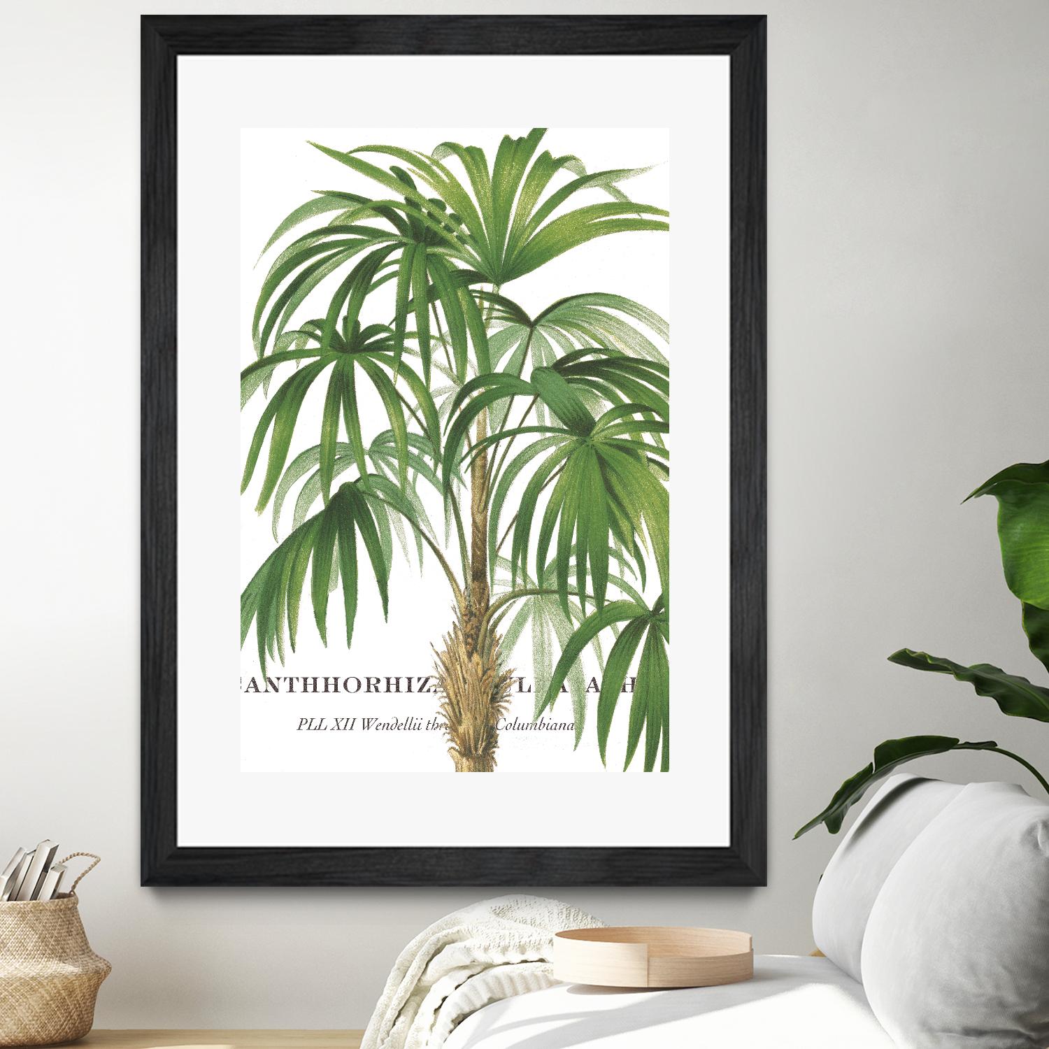 Riviera Palms II by Studio on GIANT ART - green tropical