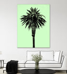 Palm Tree 1996 (Green) by Erik Asla on GIANT ART - multicolor photography; contemporary