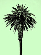 Palm Tree 1996 (Green) by Erik Asla on GIANT ART - multicolor photography; contemporary