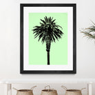 Palm Tree 1996 (Green) by Erik Asla on GIANT ART - multicolor photography; contemporary