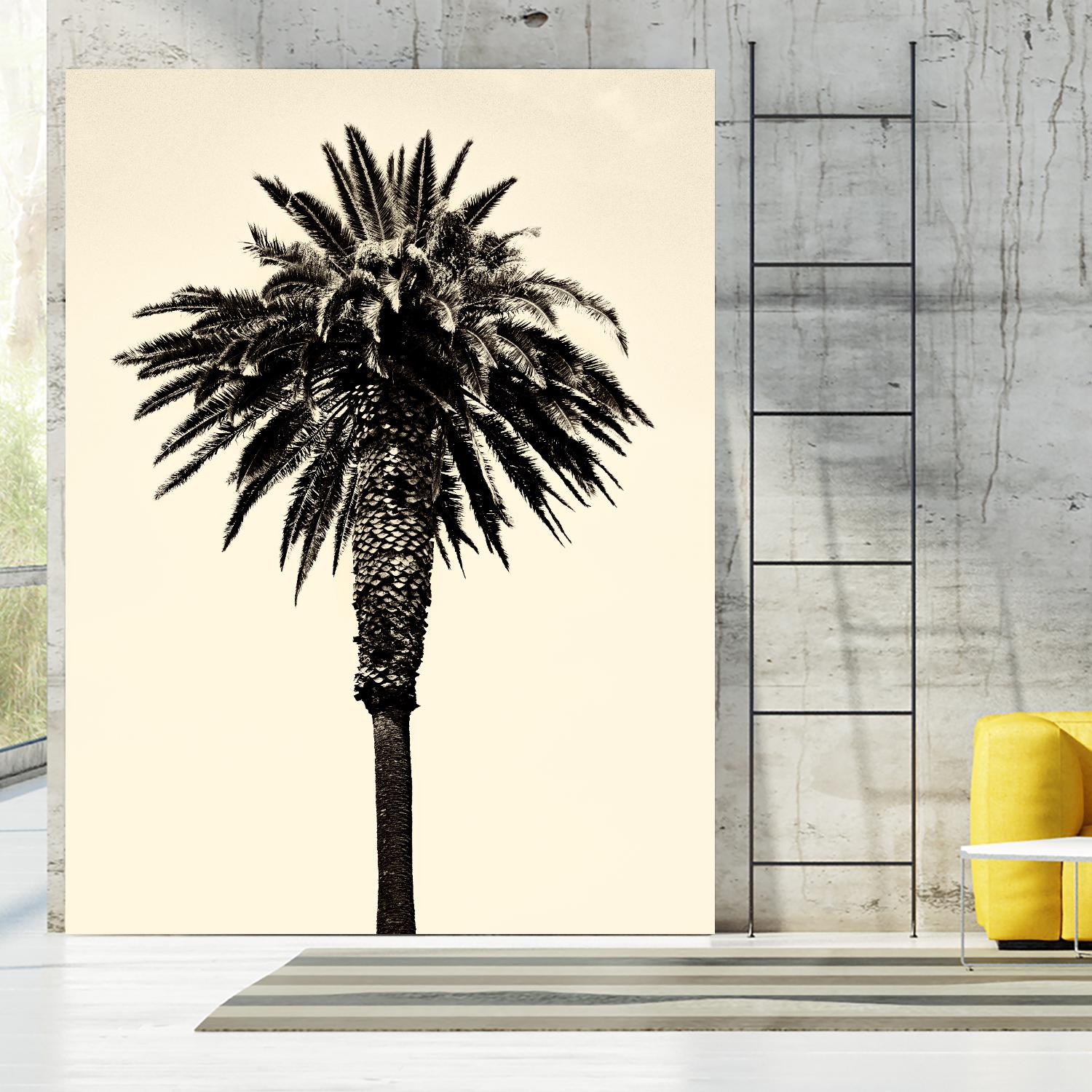 Palm Tree 1996 (Tan) by Erik Asla on GIANT ART - multicolor photography; contemporary