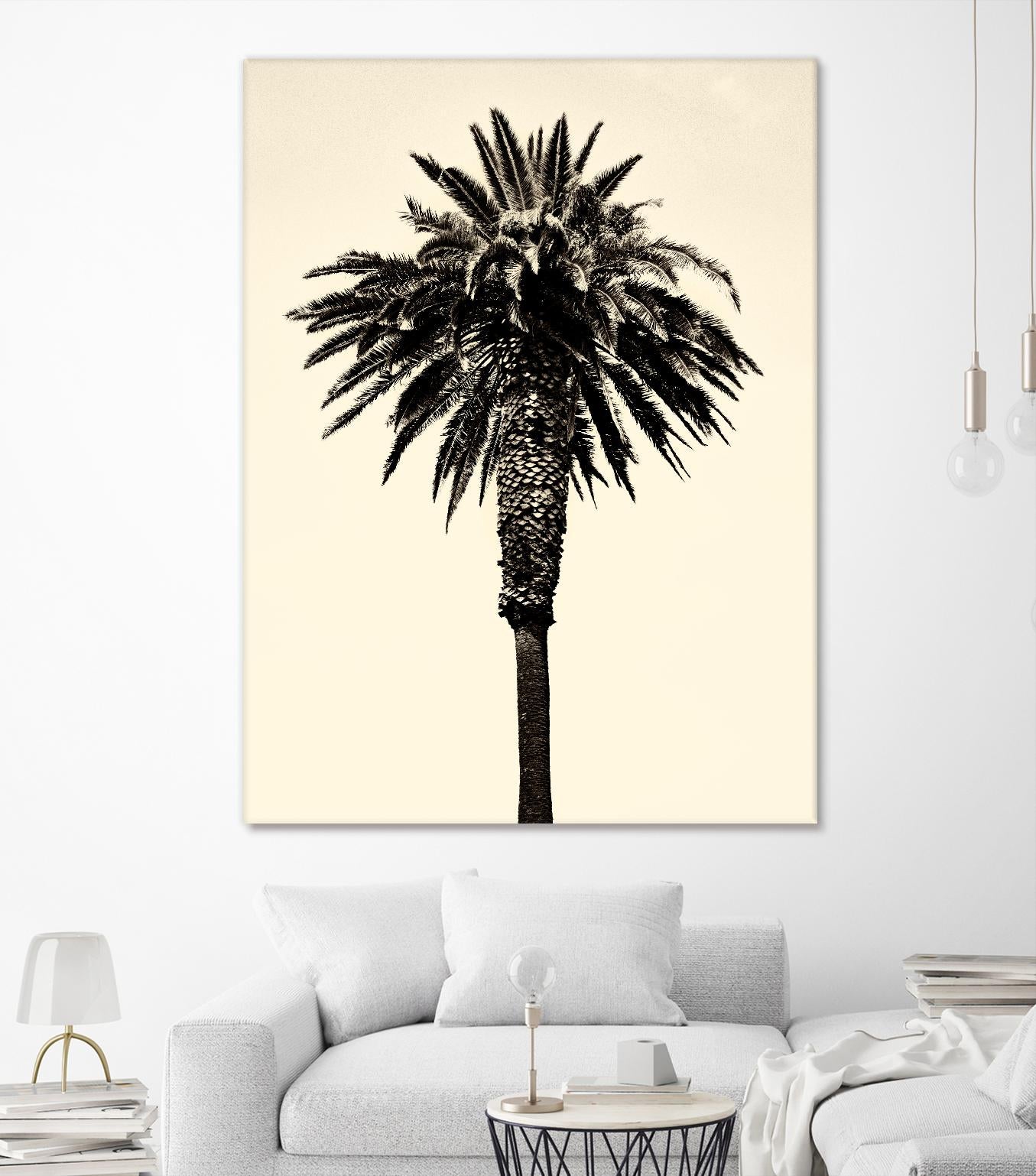 Palm Tree 1996 (Tan) by Erik Asla on GIANT ART - multicolor photography; contemporary