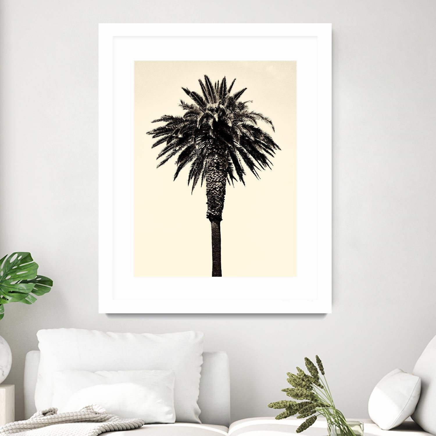Palm Tree 1996 (Tan) by Erik Asla on GIANT ART - multicolor photography; contemporary