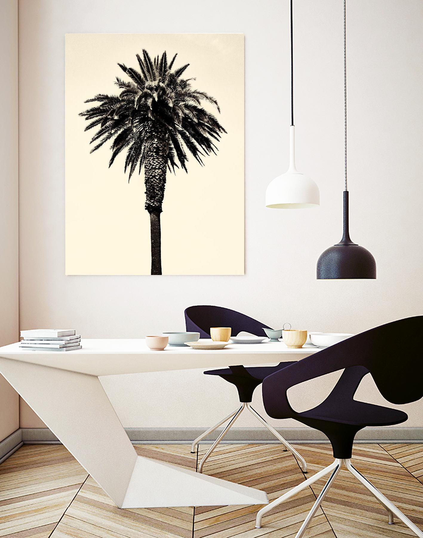 Palm Tree 1996 (Tan) by Erik Asla on GIANT ART - multicolor photography; contemporary