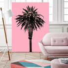 Palm Tree 1996 (Pink) by Erik Asla on GIANT ART - multicolor photography; contemporary