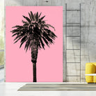 Palm Tree 1996 (Pink) by Erik Asla on GIANT ART - multicolor photography; contemporary