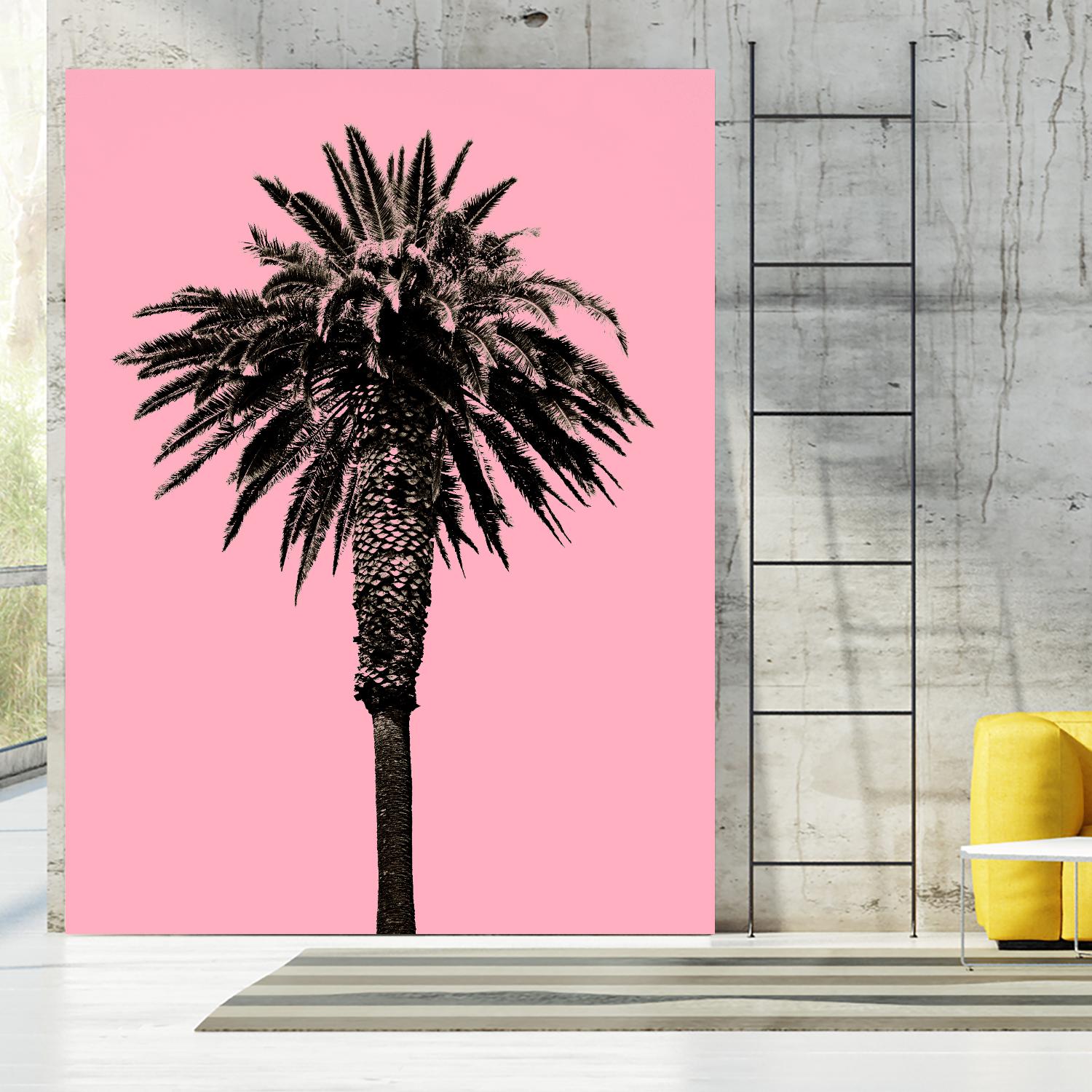 Palm Tree 1996 (Pink) by Erik Asla on GIANT ART - multicolor photography; contemporary