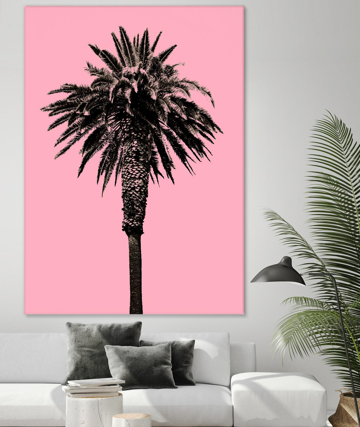 Palm Tree 1996 (Pink) by Erik Asla on GIANT ART - multicolor photography; contemporary