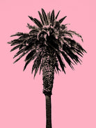 Palm Tree 1996 (Pink) by Erik Asla on GIANT ART - multicolor photography; contemporary