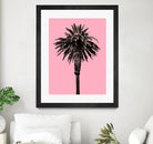 Palm Tree 1996 (Pink) by Erik Asla on GIANT ART - multicolor photography; contemporary