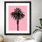 Palm Tree 1996 (Pink) by Erik Asla on GIANT ART - multicolor photography; contemporary