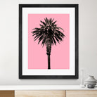Palm Tree 1996 (Pink) by Erik Asla on GIANT ART - multicolor photography; contemporary