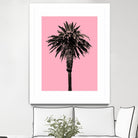 Palm Tree 1996 (Pink) by Erik Asla on GIANT ART - multicolor photography; contemporary