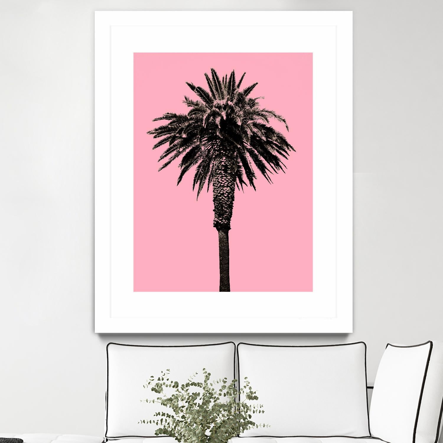 Palm Tree 1996 (Pink) by Erik Asla on GIANT ART - multicolor photography; contemporary
