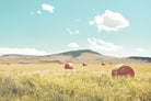 A Day in the Fields by Annie Bailey Art on GIANT ART - blue,green landscapes, photography, clouds, farms, hills