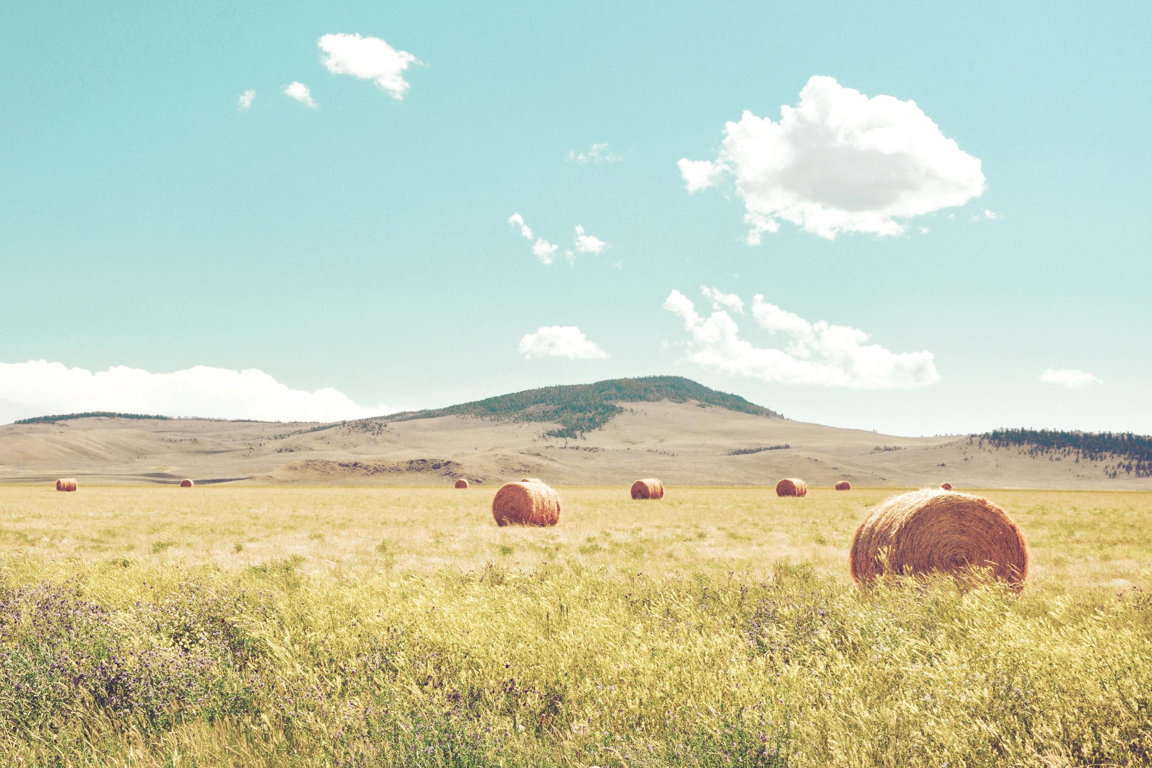 A Day in the Fields by Annie Bailey Art on GIANT ART - blue,green landscapes, photography, clouds, farms, hills